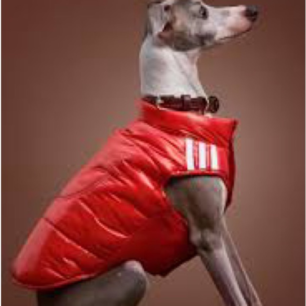Red Puffer Dog Vest Limited Edition Adidas